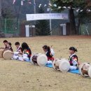 양양 상평초 공수전분교 &#39;마을공동체와 함께하는 명랑 운동회&#39; 이미지