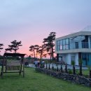 그레이스830 이미지