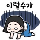 화니드론 이미지