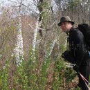 250622 - 그래도돼(조용필) 이미지