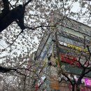 부산 알레르기 검사 병원 추천 (feat. 부산 지연성 알러지 검사)