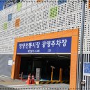 양양놀자