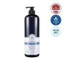 씨드(SEED) 헤어 이미지