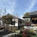 3639 | 후쿠오카 유후인 숙소 추천 | 료칸 추천 | 램프 노 야도 내돈내산 후기🎋