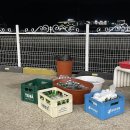 여수시민로 | 여수낭만포차 32번 낭만도시 내돈내산 솔직후기 주말웨이팅정보