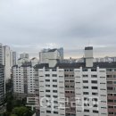 셈서울투어 투어코리아