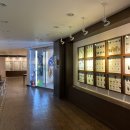 파주 나비나라박물관 이미지