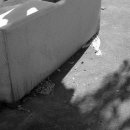 일과1리 이미지