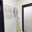 척추밸런스카이로필라테스 | 포항 북구 우현동 필라테스 추천 카이로온필라테스 체형분석 체형교정 그룹필라테스