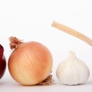 건강한 다이어트댄스요가 이미지