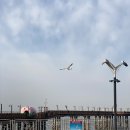태진수산(주)