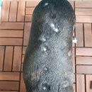 혜인동물약품 이미지