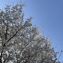 상백1리 마을회관 이미지