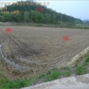 영주시이산면보건지소 이미지