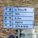 청안 이미지