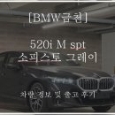 (유)구디퀵 | [BMW 금천] 520i Msp 소피스토 그레이 출고 후기 // 수입 세단 전체 판매량 및 차량 정보