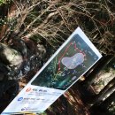 수망리교차로 4 | [제주] 조천읍도서관 '도서관과 함께 오름읽기' 3주 차 물영아리오름