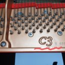 개인(서광명) 이미지