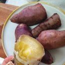 신선한순흥