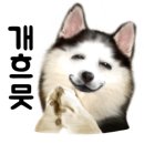 넘버25호텔 대청점 이미지