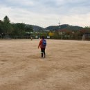 내양초등학교 이미지