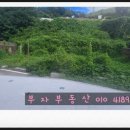 덕진-66 이미지