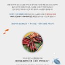 보홀로드 이미지