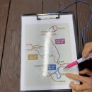 제주 추천 스팟| 예약 필수, 지금 아니면 못 가는 한남 사려니 오름숲 (비오는 날 방문 후기)