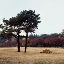 will be better 이미지