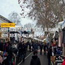 로마 트라스테베레 포르타 포르테제 | 로마 최대 현지인 벼룩시장
