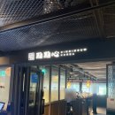 딤딤섬센트럴시티점 | 고속터미널역 파미에스테이션 중식 맛집 딤딤섬 센트럴시티점 내돈내산 후기 오리구이 덮밥 마라우육탕면