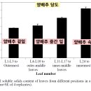의사의식탁 이미지