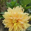 우진정보통신 네이버블로그