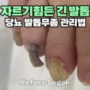 레푸스강남세곡점 이미지