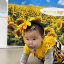 유아 발달 체조(엄마랑아가랑) | 아가랑 문화센터 [플레이풀 시흥시청점] 까꿍베이비 수업은 즐거워 ~ 늘 새로워 ~♥