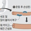 짐 410 이미지