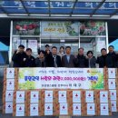 엠스 이미지