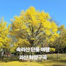 속리산 자락 단풍하면 화양구곡이지 지금부터 절정