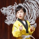 하이킥 태권도장 이미지