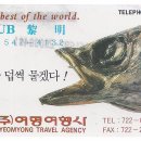 여명여행사
