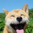 유일헤어 이미지
