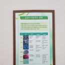 품속농장 네이버블로그