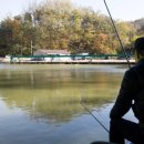 백운낚시터 이미지