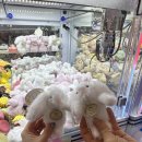 거동생고기 | [대구/달서구] 발친이랑 단백질 폭격 완료! 장기동 '거동생고기' 등골까지 조지고 온 후기 🥩✨