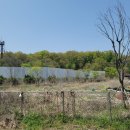 도봉골농장 | [도봉산 무수아취] 서울에서 즐기는 글램핑과 바베큐_예약, 이용후기