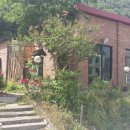 숲 펜션 이미지