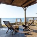 제주애아리 이미지