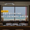 할리스(동해묵호점) | 여행지에 가면 스벅 말고 할리스에 가세요 | 할리스 강릉안목해변점, 할리스 동해묵호점