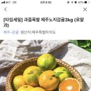 제주 귤 🍊🍊 3kg 로얄과 7900원!!!! 이미지