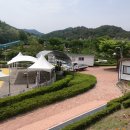 (구)김화교 Daum카페
